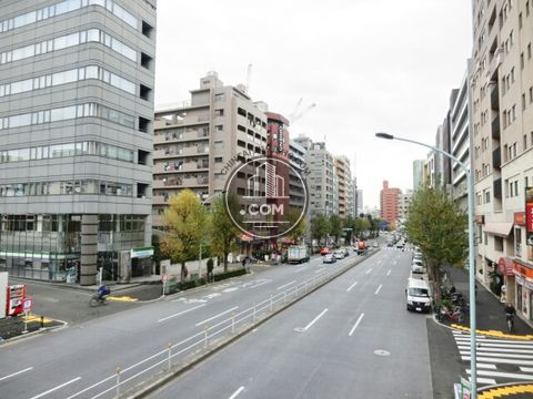 大通り