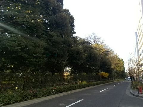 新宿御苑前の通り