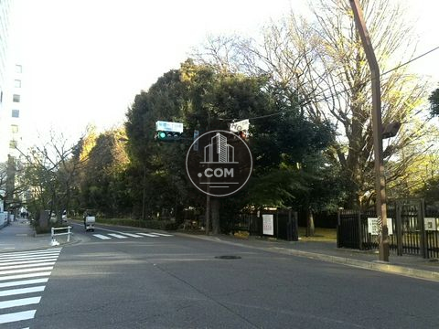 裏路地