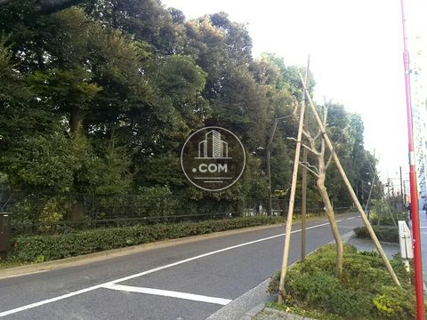 裏路地