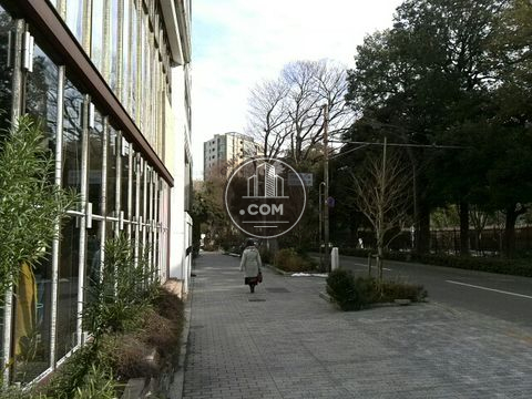 裏路地