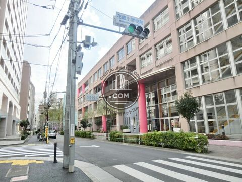 大通り