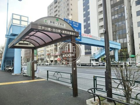 大通り