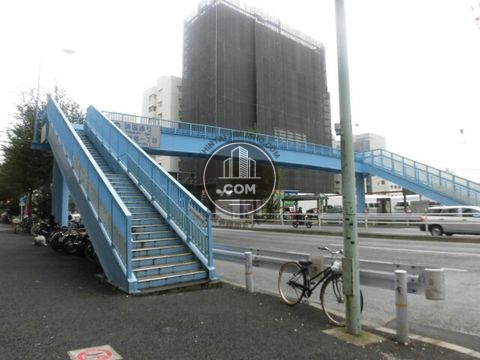 大通り