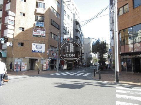大通り