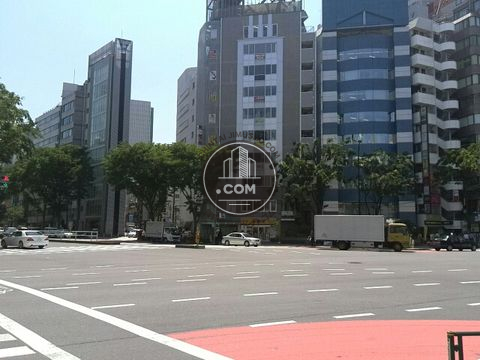 大通り