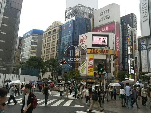 大通り