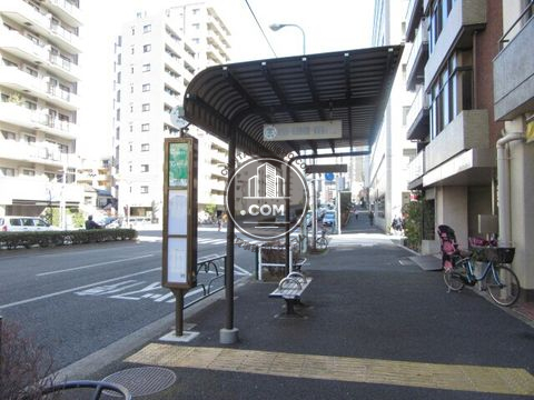 大通り