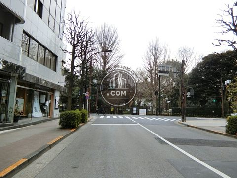 大通り