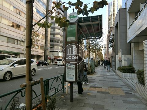 大通り