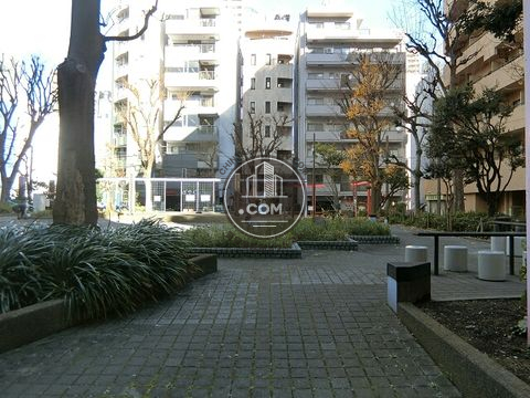 裏路地