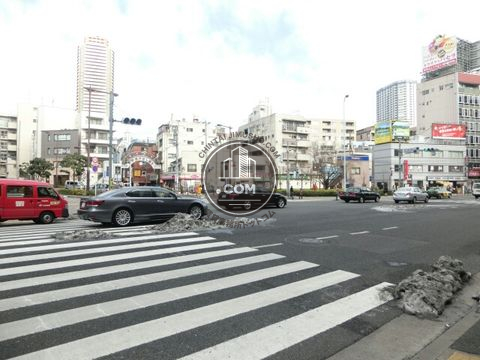 大通り