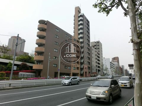 大通り