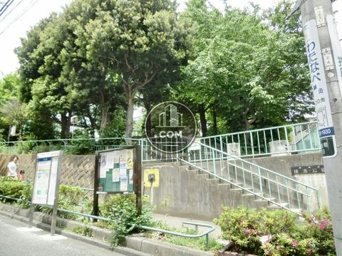 大通り