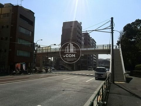 大通り