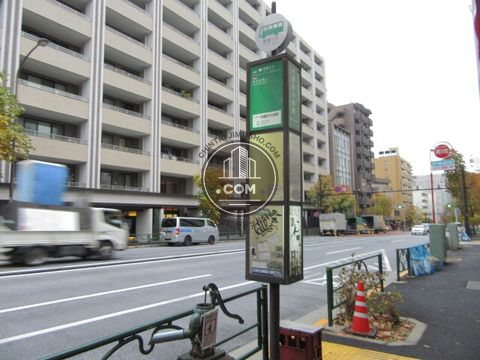 大通り