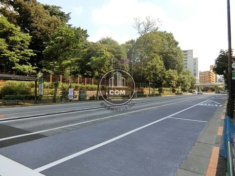 大通り