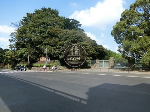 大通り