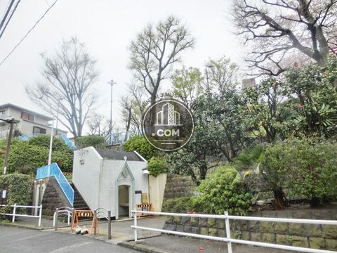 大通り
