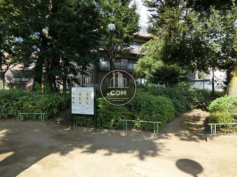 裏路地
