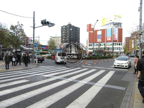 大通り