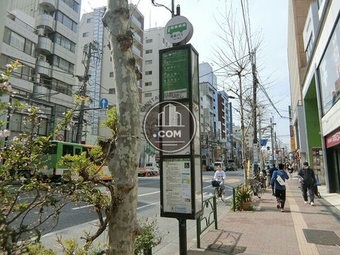 大通り
