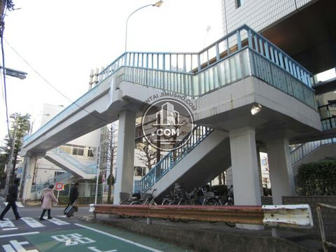 大通り