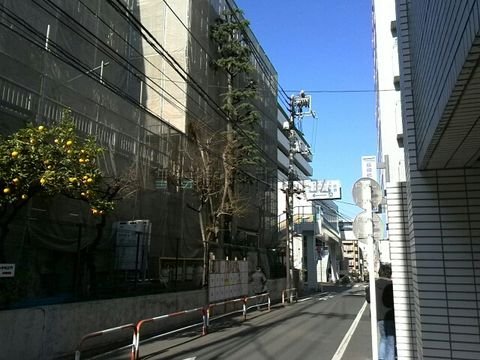 津久戸小学校横の通り