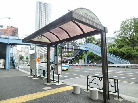 大通り