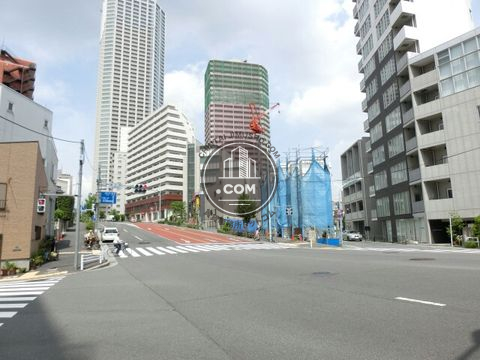 大通り