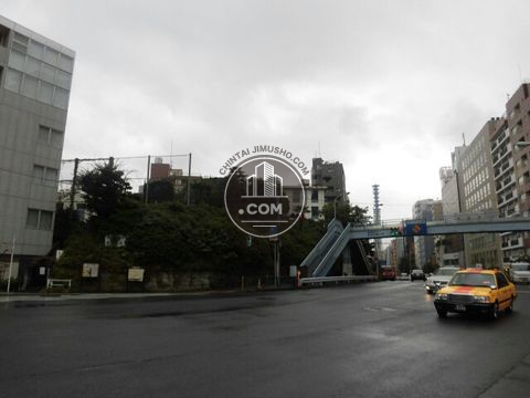 大通り