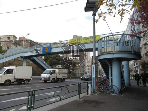 大通り