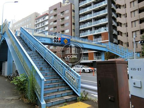 大通り