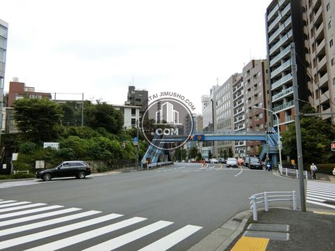 大通り