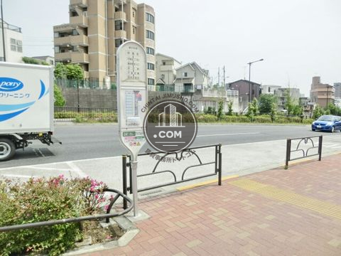大通り
