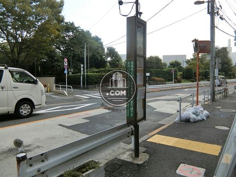 大通り