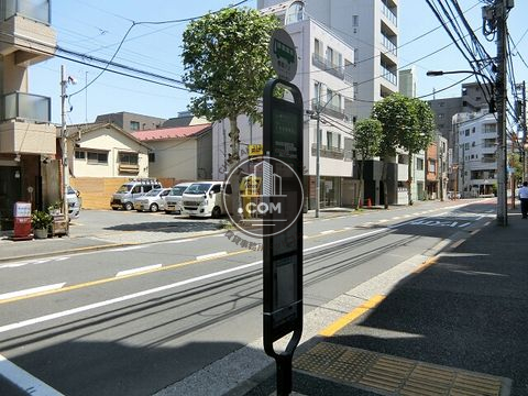 大通り