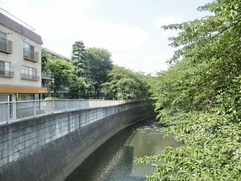 大東橋からの景観