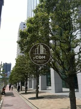 大通り