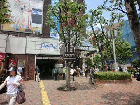 駅周辺
