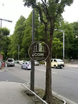 大通り