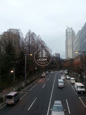 大通り
