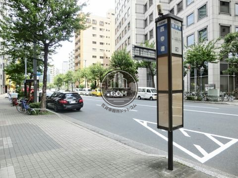 大通り