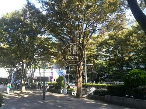 大通り