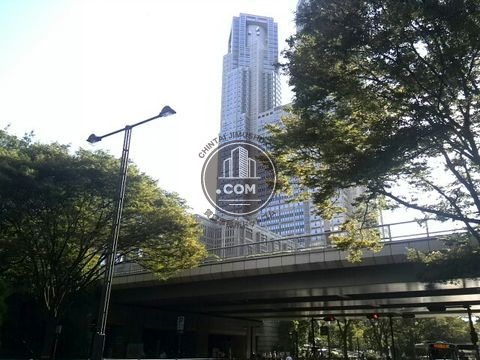 大通り