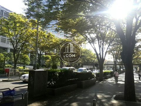 大通り