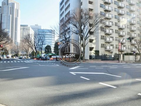 大通り