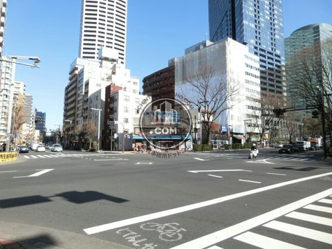 大通り