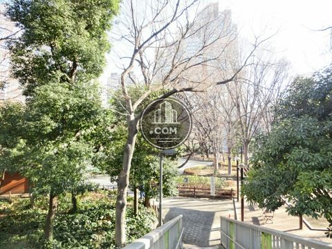大通り