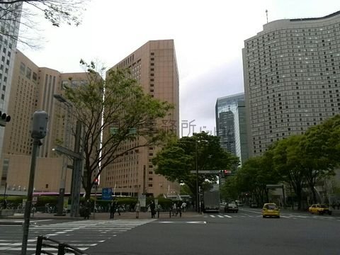 議事堂北交差点付近です